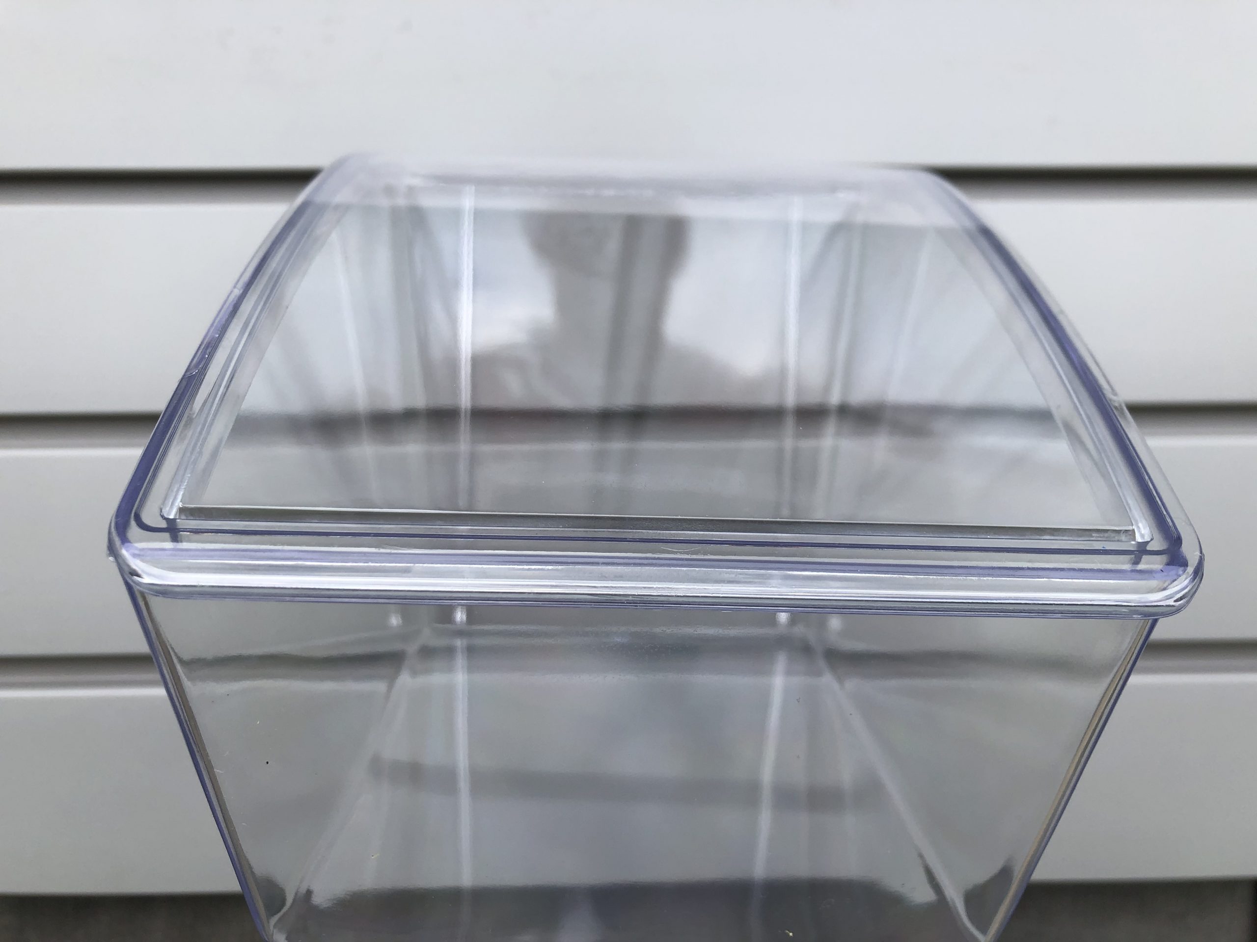 clear storage box with lid