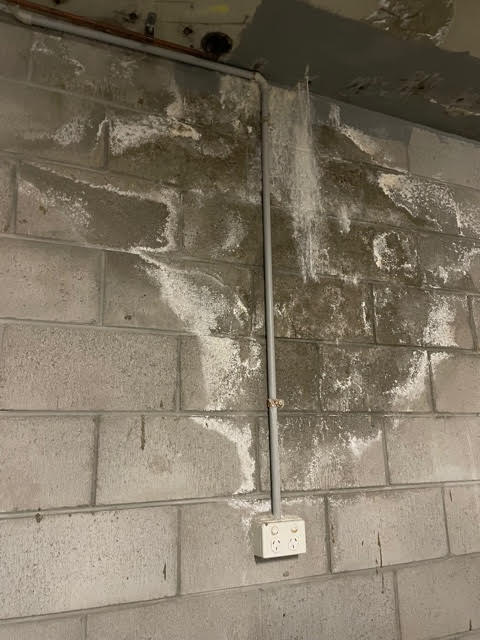 mouldy garage wall